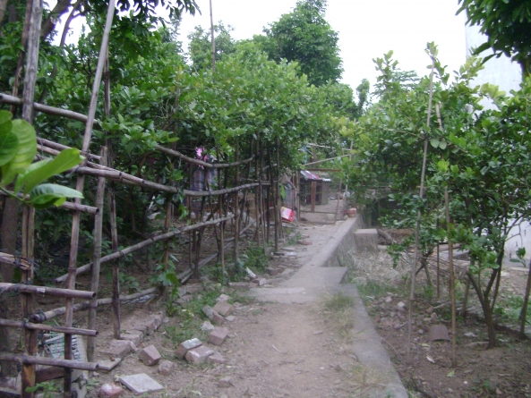 美爾家燈飾3